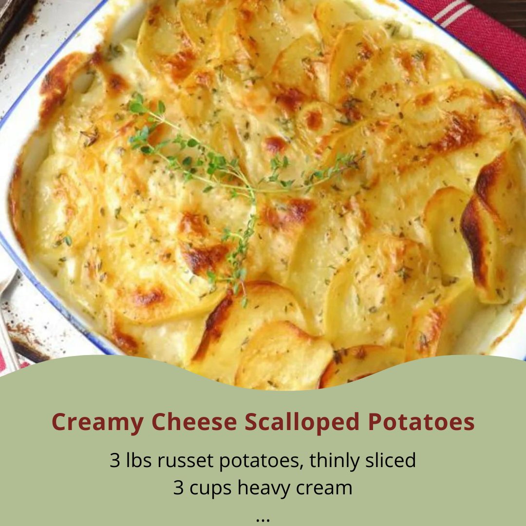 Creamy Cheese Scalloped Potatoes